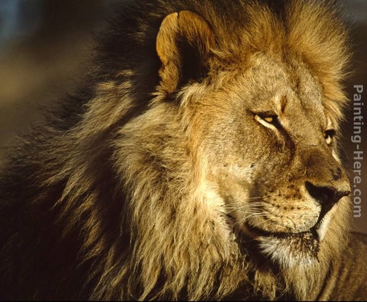 Unknown Artist Lion ESK